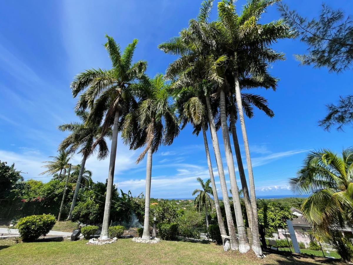 Peaceful Palms Montego Bay Hotel Luaran gambar